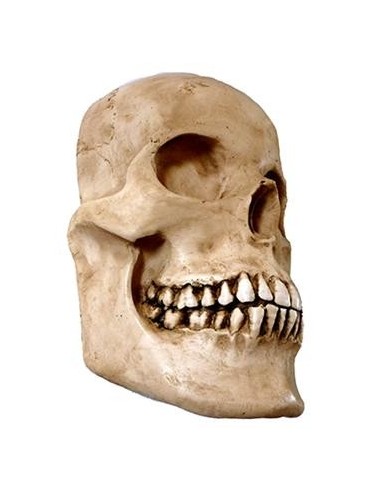 Media calavera resina