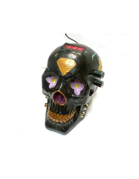 Fuente Calavera Negra