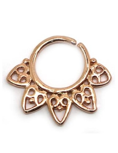 Septum Étnico ASEP1