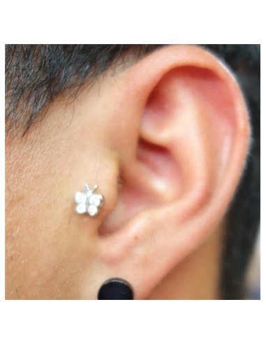 Tragus Mariposa-1