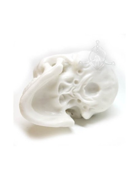 Calavera de silicona