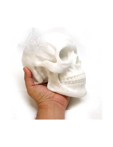 Calavera de silicona