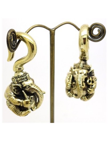 Peso GANESHA2