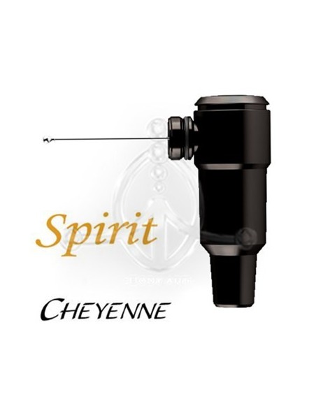 Cheyenne Hawk SPIRIT