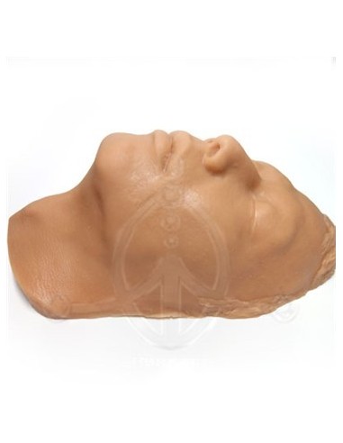 Cabeza de silicona (2)