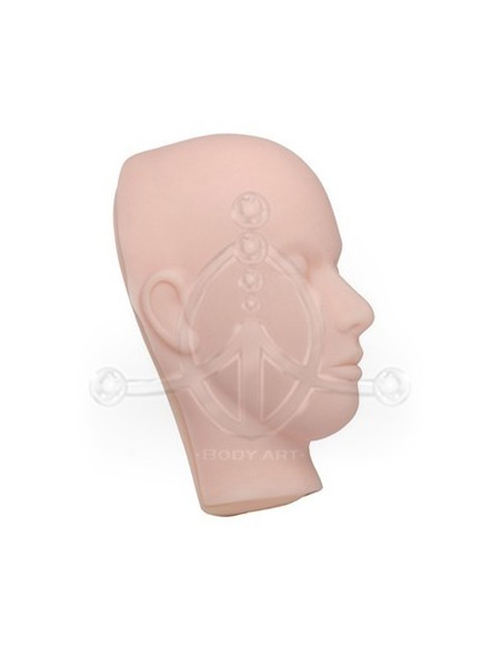 Cabeza 3D Prácticas