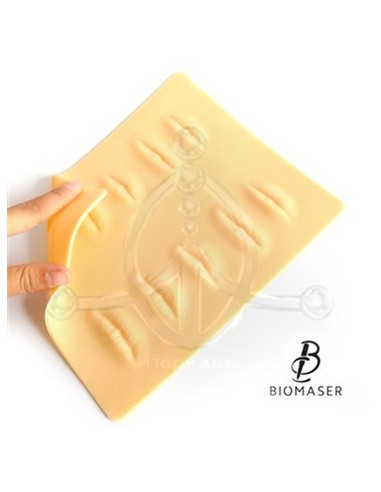 Piel Labios 3D Prácticas