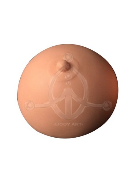 Areola 3D Prácticas (1)