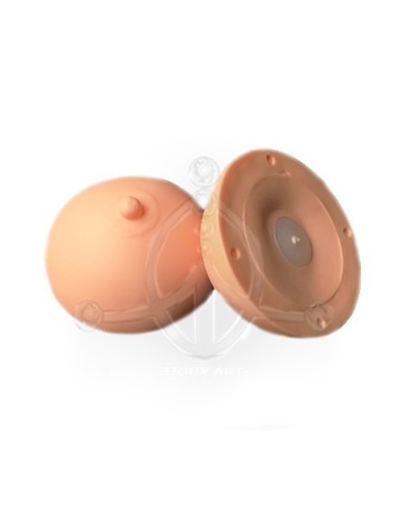Areola 3D Prácticas (1)