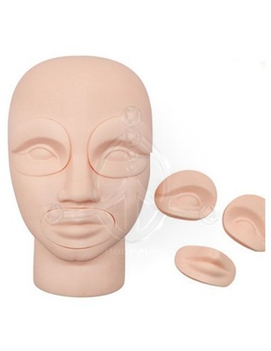 Cabeza Prácticas Ojos-Labios