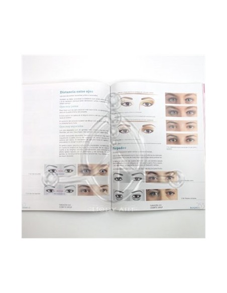 Libro de VISAJISMO