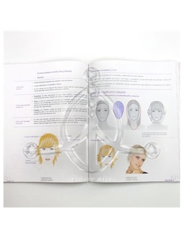 Libro de VISAJISMO