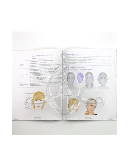 Libro de VISAJISMO