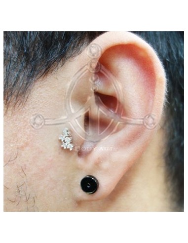 Tragus Corazón con Estela