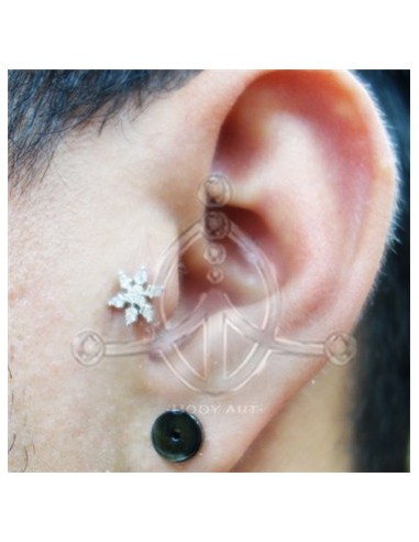 Tragus Copo Nieve Joya