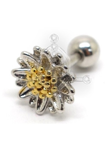 Tragus Margarita Oro 42