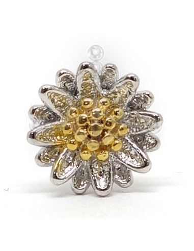 Tragus Margarita Oro 42