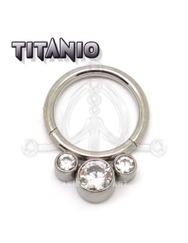 Aro segmentado Joya ? Titanio