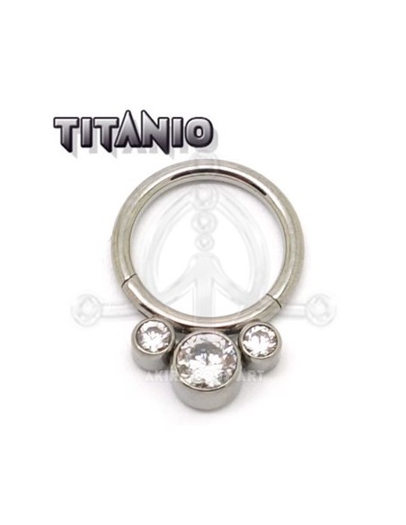 Aro segmentado Joya ? Titanio