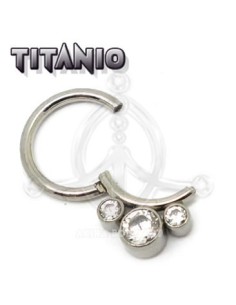 Aro segmentado Joya ? Titanio 2