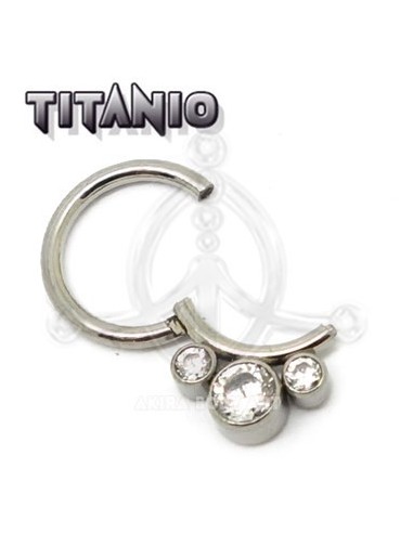 Aro segmentado Joya ? Titanio