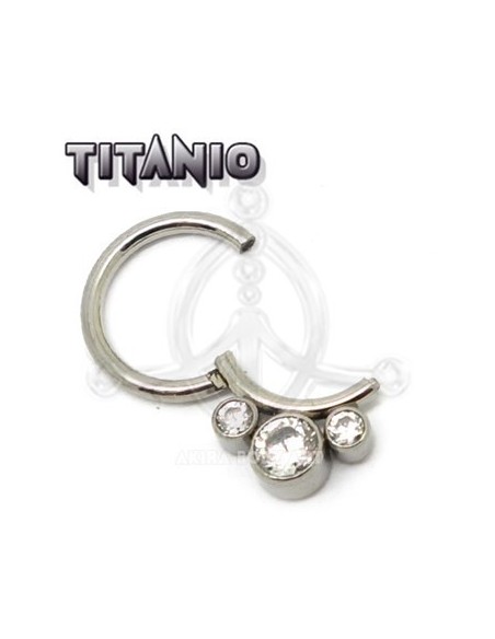 Aro segmentado Joya ? Titanio