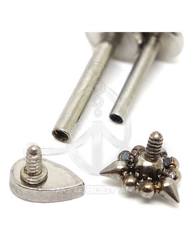 Labret Cruz (Rosca interna)