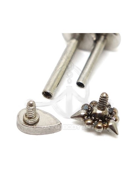 Labret Cruz (Rosca interna)