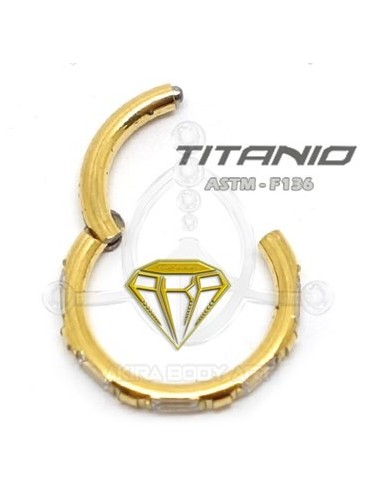 Aro segmentado 5 joyas - ORO
