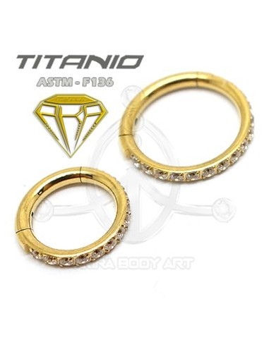 Aro segmentado joyas ? ORO