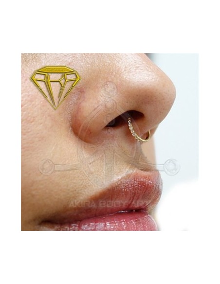 Aro segmentado joyas ? ORO