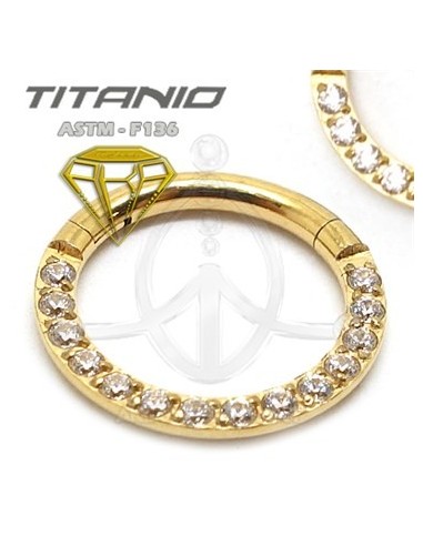 Aro segmentado joyas ? ORO (2)
