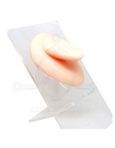 Expositor LENGUA Silicona