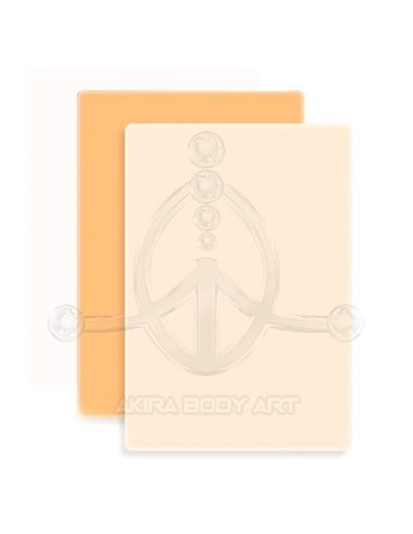 Piel de prácticas DNA4