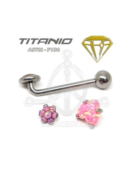 Barbell Christina Titanio R. INTERNA