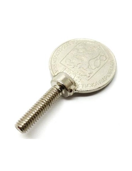 Tornillos moneda Alex Rodríguez