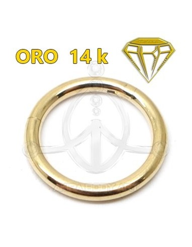 Aro Segmentado con bisagra - 14K