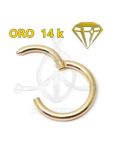 Aro Segmentado con bisagra - 14K