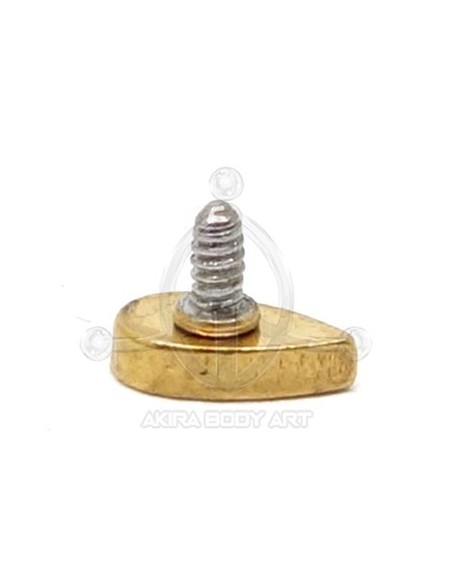 Labret Lágrima joyas (Rosca interna) - Oro (PVD)