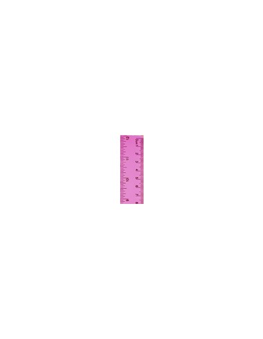 Regla Flexible 30 cm