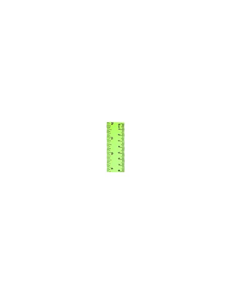 Regla Flexible 30 cm