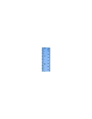 Regla Flexible 30 cm