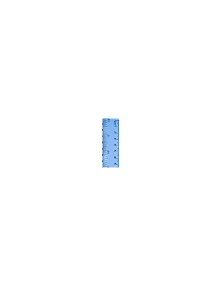 Regla Flexible 30 cm