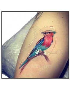 Gel TATTOOFILM de ALOE de 125gr