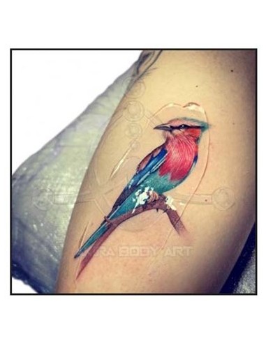 Gel TATTOOFILM de ALOE de 125gr
