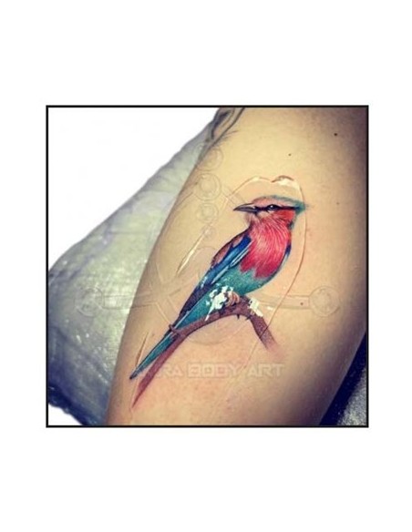 Gel TATTOOFILM de ALOE de 125gr