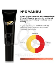 Corrector N6 YANBU - Hanafy Microblading (Prácticas) 2