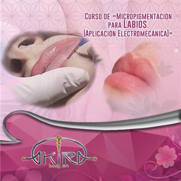 Curso de Micropigmentación para LABIOS