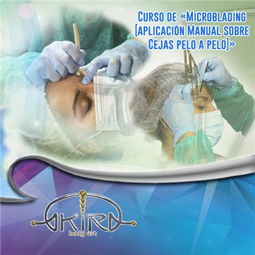 Curso de MICROBLADING - Aplicación Manual sobre CEJAS