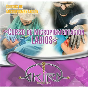Curso de Micro - LABIOS (MLAB)